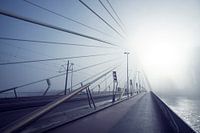 Erasmusbrug zonsopkomst in de mist