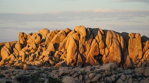 Joshua Tree National Park in de Verenigde Staten
