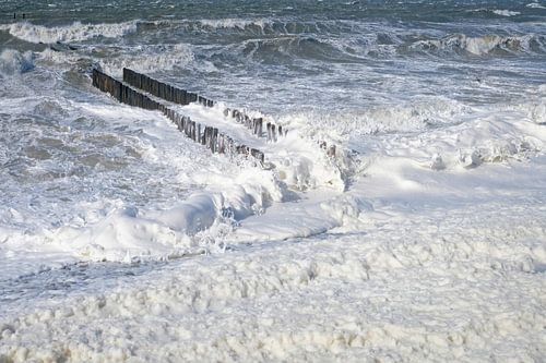 B&W Stranden Collectie Karen van de Kerkhove