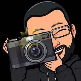 Henk van Esveld Profile picture