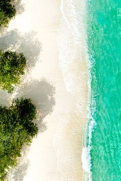 Aerial Summer - Green Beach