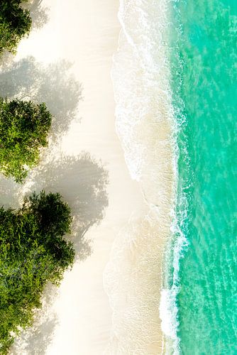 Aerial Summer - Green Beach