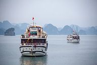 Vietnam - Halong Bay Excursie Boten van t.ART thumbnail