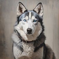 Husky sibérien