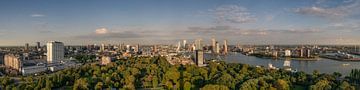Panorama von Rotterdam von Toon van den Einde