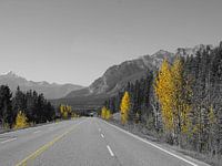 Natural autumn in canada