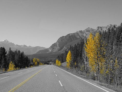 Natural autumn in canada