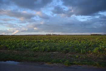 Approach lighting ETNN