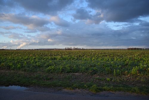 Approach lighting ETNN