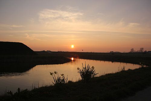 Texel Landschap 17