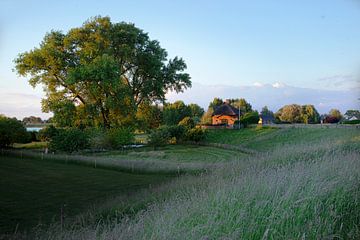Landschaft "Uiterwaarden van de Maas Lith".