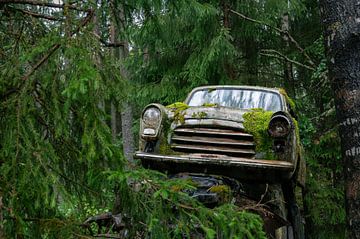 Autokerkhof Bastnäs: Natuurlijke Overname van Alle Kuperus