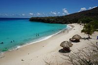 grote knip