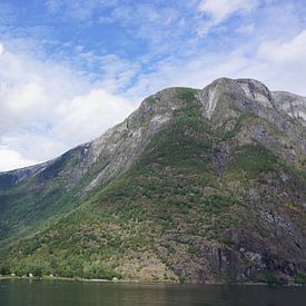 Norwegischer Fjord von Lieke Elsinga