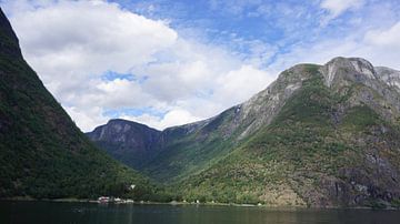 Norwegischer Fjord von Lieke Elsinga