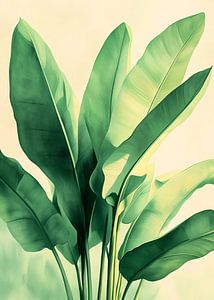 Tropische Bananenblätter Natur Kunst