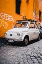 Fiat 500 by Sander Peters thumbnail