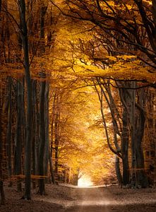 Autumn Leaves van Kees van Dongen