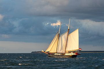 Zeilschip op de Oostzee tijdens de Hanse Sail in Rostock van Rico Ködder