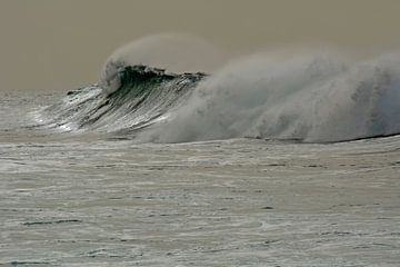 DIE LETZTE WELLE 3 von Miroslav Ptacek