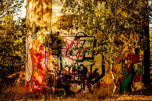 Golden-Hour Graffiti – Concrete, Birch & Woodland Glow