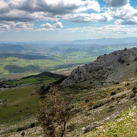 Panorama sur René Weijers