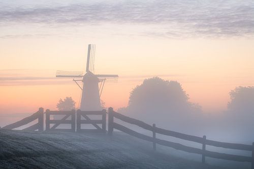 Molen de vlinder op een mooie mistige ochtend bij Deil in de Betuwe.