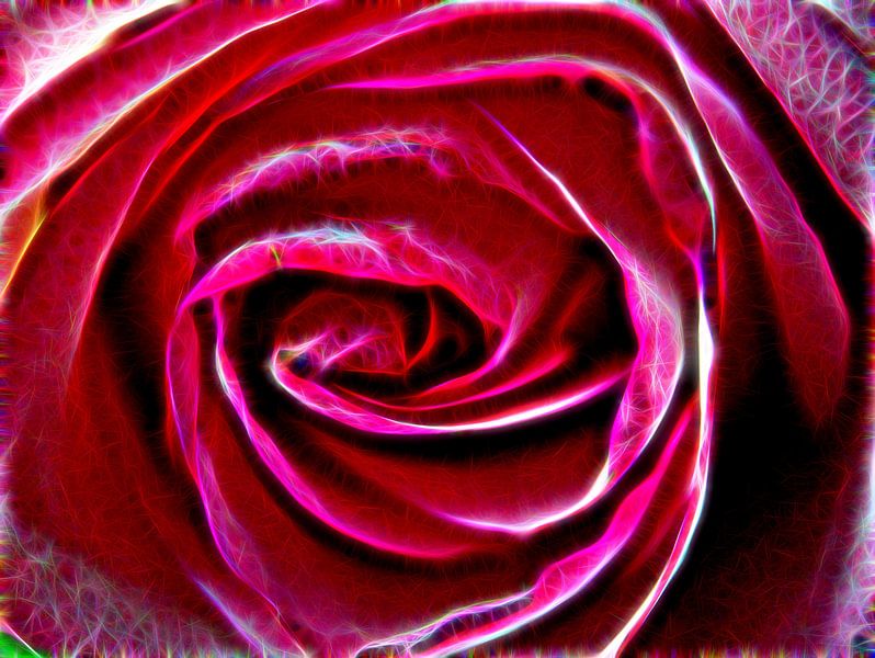 Feu de rose par Edgar Schermaul