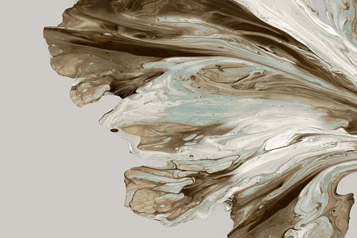 Perfecte visie, PI Studio 