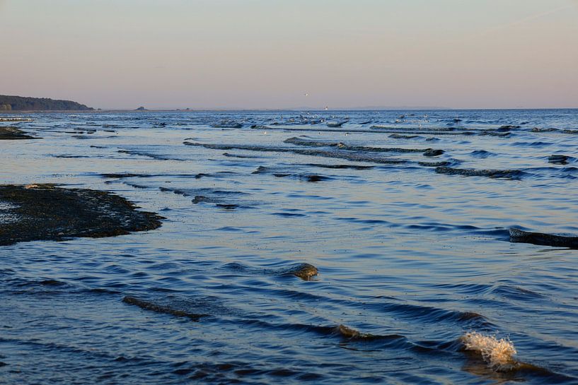 Morgenstimmung auf Usedom von Thomas Jäger
