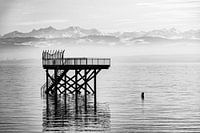 Bade Plattform im Bodensee bei Meersburg mit Blick auf schweizer Alpen Deutschland schwarz-weiss