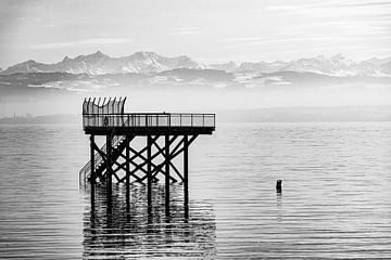 Zwemplateau in het Bodenmeer bij Meersburg met zicht op Zwitserse Alpen Duitsland zwart-wit van Dieter Walther