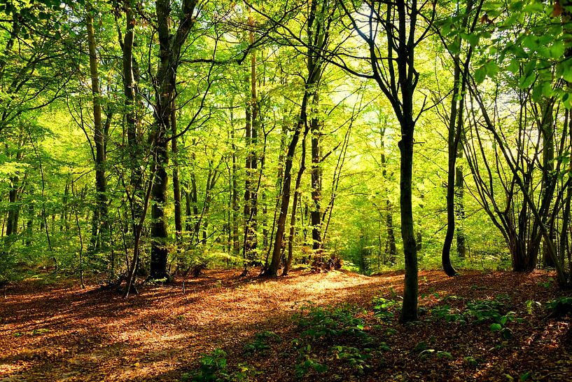 October by Ostsee Bilder
