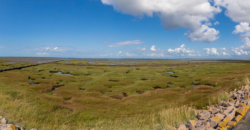Panorama van het Nationaal Park Waddenzee met een waarschuwing van Alexander Wolff