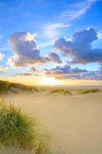 Sunset at the beach of Texel with sand dunes in the foreground