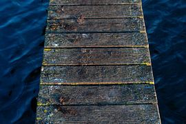 bridge by manon vermeulen