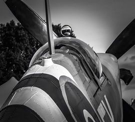 Spitfire by Ernst-jan Ter-hoeve