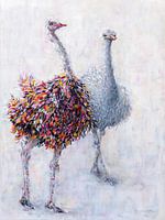 Ostrich couple