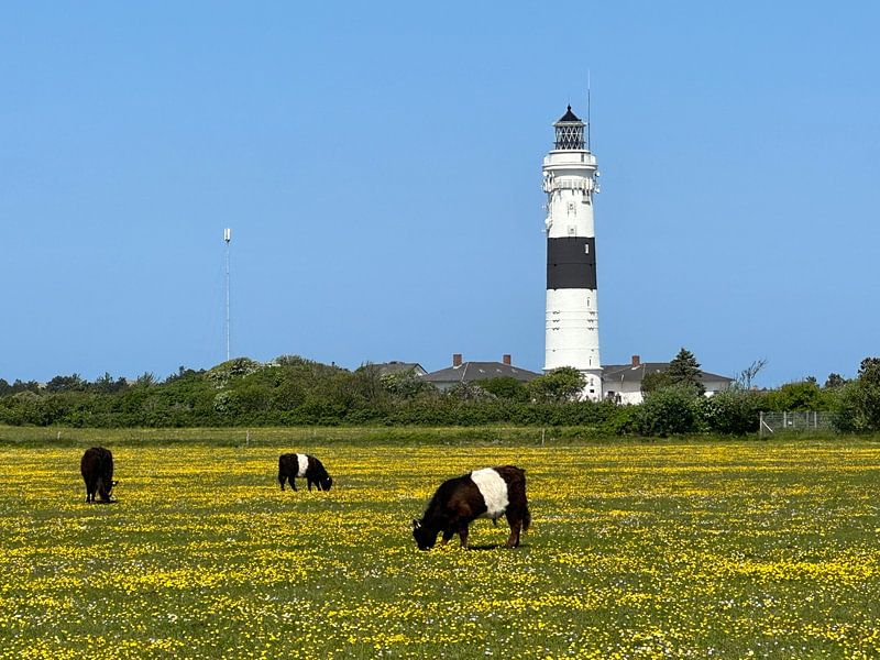 Sylter Leuchtturm bei Kampen von HGU Foto
