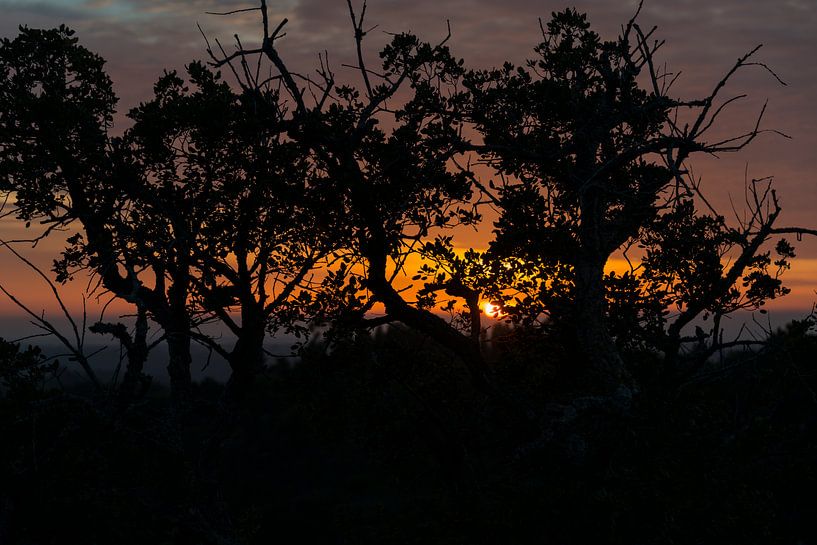 zonsondergang in alentejo portugal par ChrisWillemsen