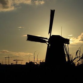 Kinderdijk van Desiree Pantekoek