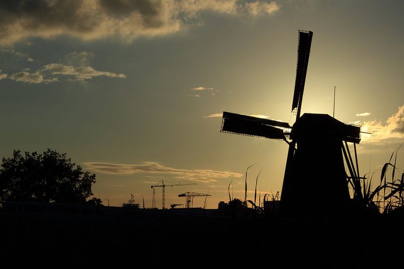 Kinderdijk par Desiree Pantekoek