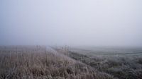 Fog and freezing temperatures across the countryside