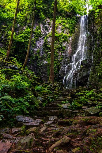Burgbach waterval in het Zwarte Woud, zomer