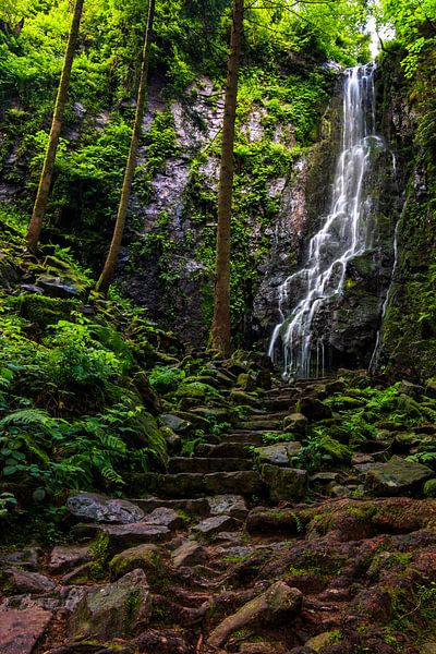 Burgbach waterval in het Zwarte Woud, zomer van Fotos by Jan Wehnert