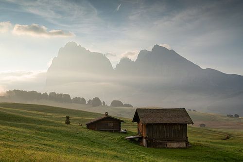 Alpe di Siusi, South Tyrol, Italy