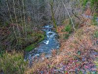 stromend rivier tussen de schitterende natuur.