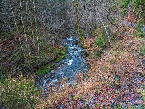 stromend rivier tussen de schitterende natuur.