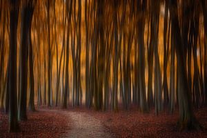 Herbstmärchen