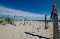 Nous allons à la plage !